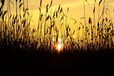 Similar image 5562962