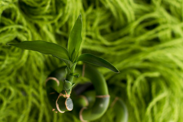 Similar image 5562975