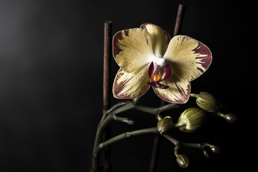 Similar image 5562979