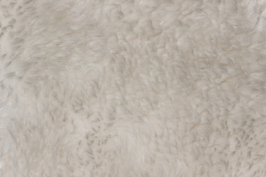 Similar image 5562982