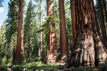 Similar image 5563003