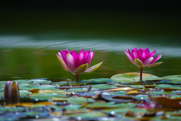 Similar image 5563016