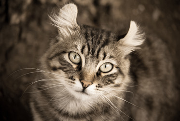 Similar image 5563018