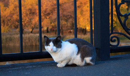 Similar image 5563019