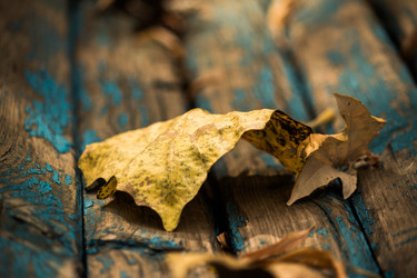 Similar image 5563021