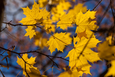 Similar image 5563027