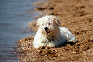 Similar image 5563039