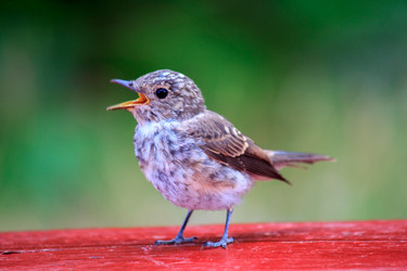 Similar image 5563043