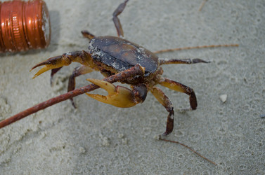 Similar image 5563057