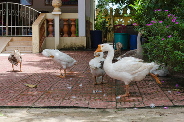 Similar image 5563063