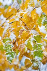 Similar image 5563233