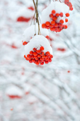 Similar image 5563234