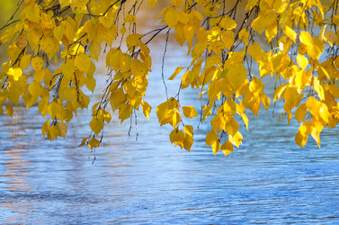 Similar image 5563237