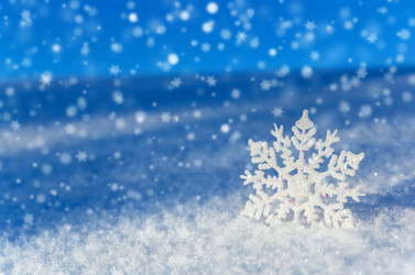 Similar image 5563239