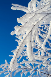 Similar image 5563240