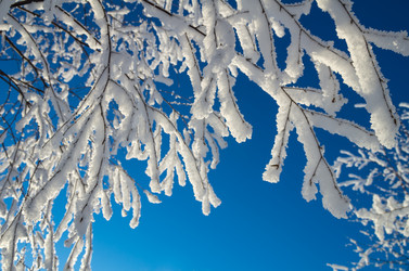 Similar image 5563241