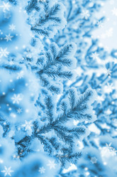 Similar image 5563244