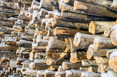 Similar image 5563245