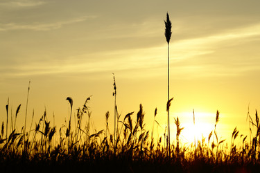 Similar image 5563246