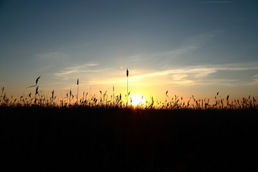 Similar image 5563247