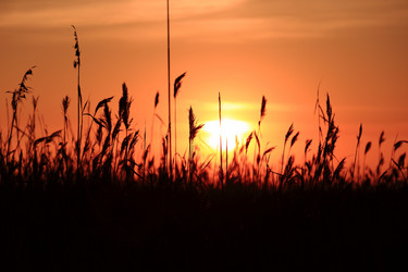 Similar image 5563249