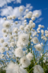 Similar image 5563251