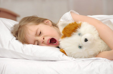 Similar image 5563253