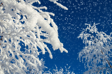 Similar image 5563265