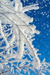 Similar image 5563267