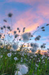 Similar image 5563276