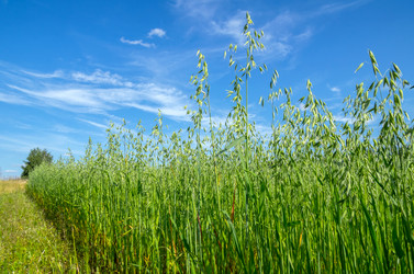 Similar image 5563279