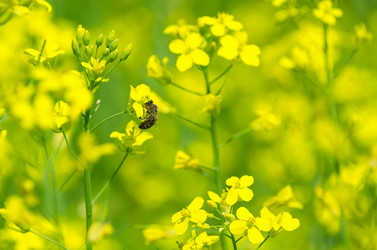 Similar image 5563284