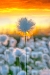 Similar image 5563289