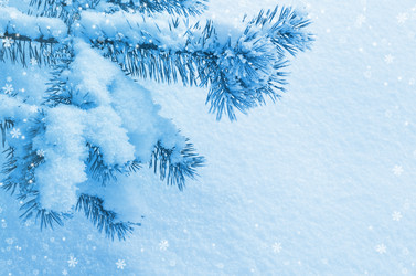 Similar image 5563294