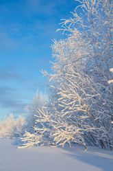 Similar image 5563295