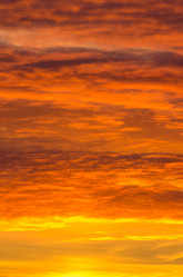 Similar image 5563296