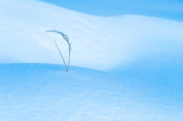 Similar image 5563303