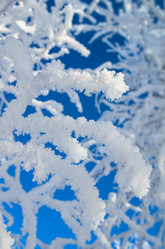 Similar image 5563324