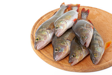 Similar image 5563362