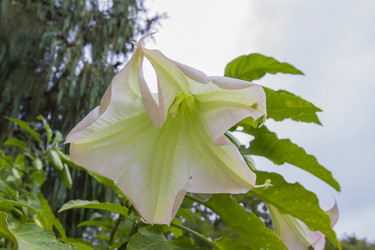 Similar image 5563408