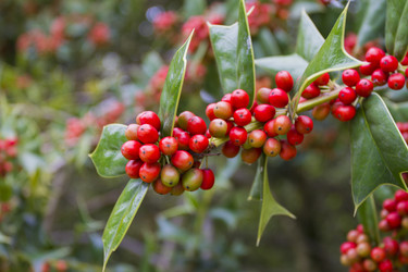 Similar image 5563410