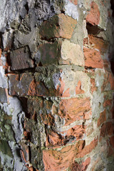 Similar image 5563419