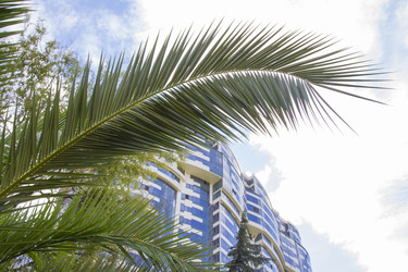 Similar image 5563422