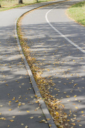 Similar image 5563444