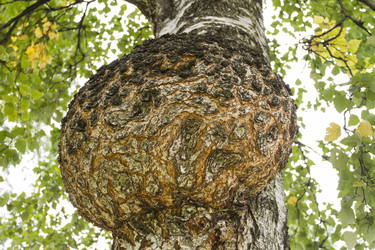 Similar image 5563449