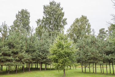 Similar image 5563450