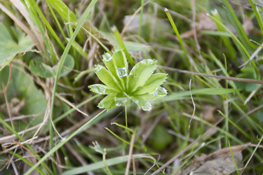 Similar image 5563451