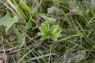 Similar image 5563452