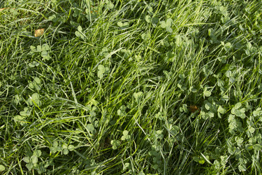 Similar image 5563457