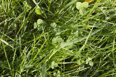 Similar image 5563458